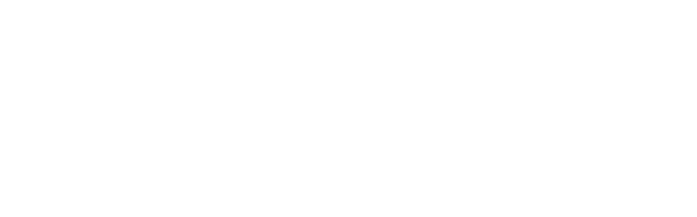 Logo SexShopOnline